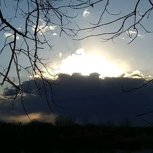 Meet your Posher, Autumn